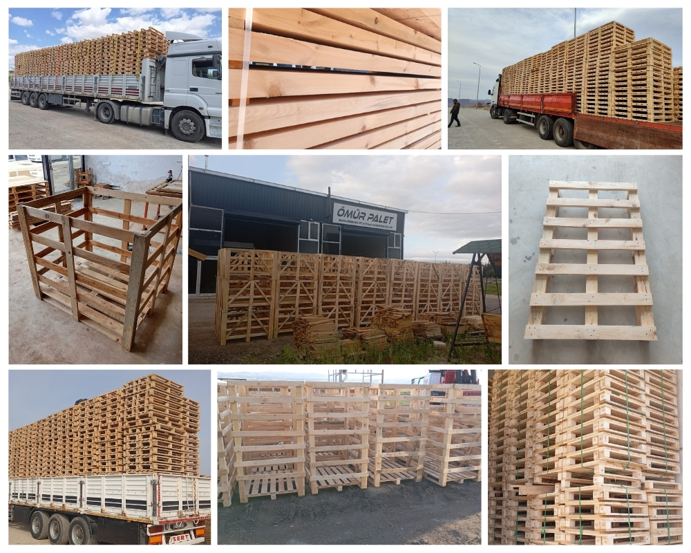 Lent Houten Kisten, Europallets Groothandel Kopen